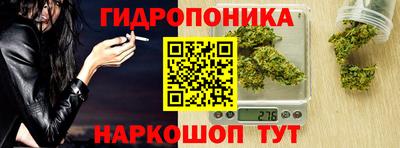 apvp Кунгур