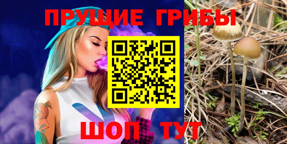 Псилоцибиновые грибы мухоморы  Вход с VPN  купить наркоту  Котлас 